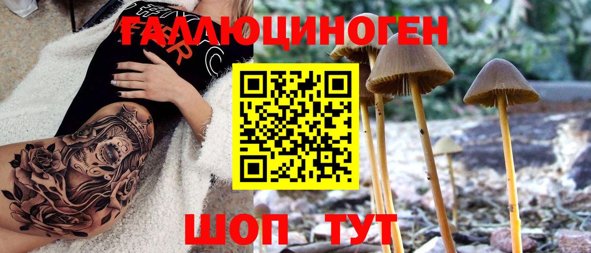 наркотики  Псилоцибиновые грибы Magic Shrooms  Шелехов  Вход с VPN  Псилоцибиновые грибы мицелий 