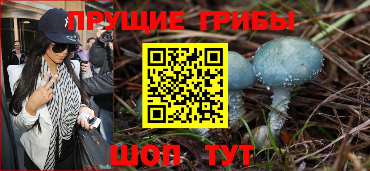 APVP Шелехов